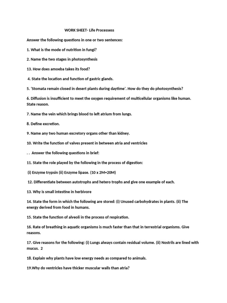 None | PDF