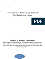 what is the meaning of business environment