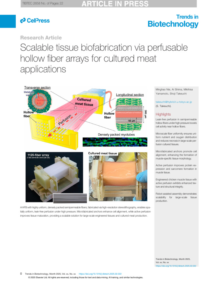 Scalable Biofabrication for Cultured Meat | PDF | Tissue Engineering ...