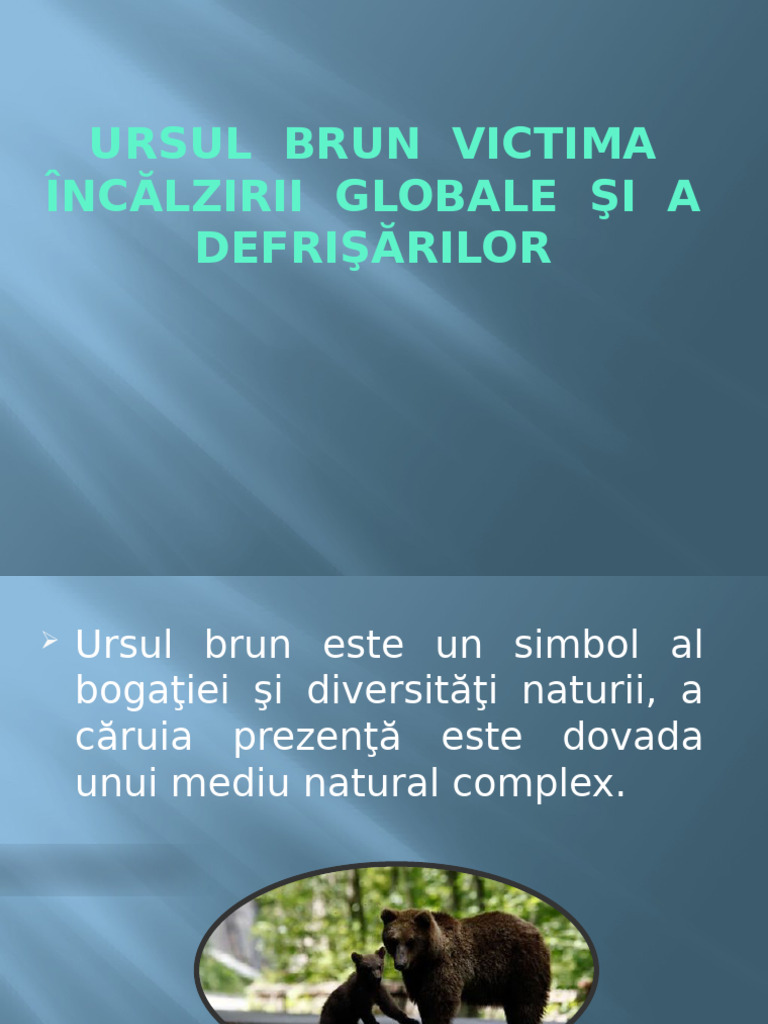 Ursul | PDF