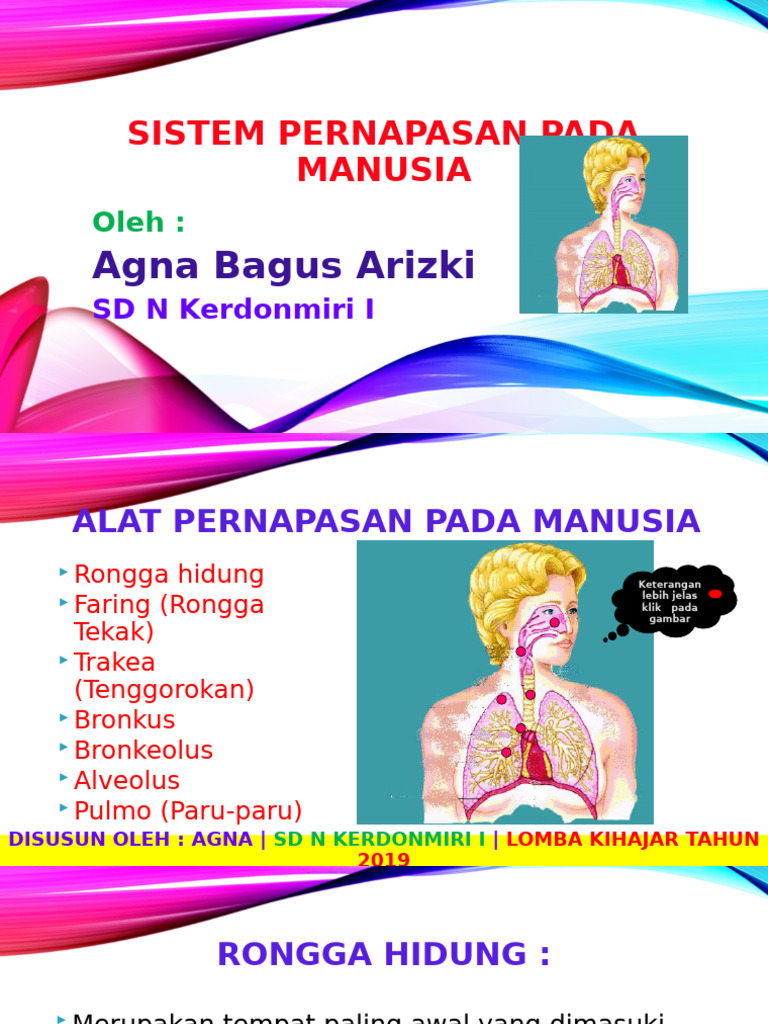 Alat Pernafasan Pada Manusia | PDF