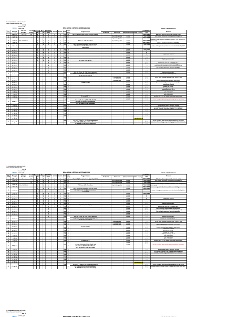 Program Kerja Brooding | PDF