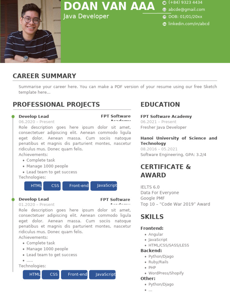 Java Developer Career Overview | PDF | Software Engineering | Computer ...