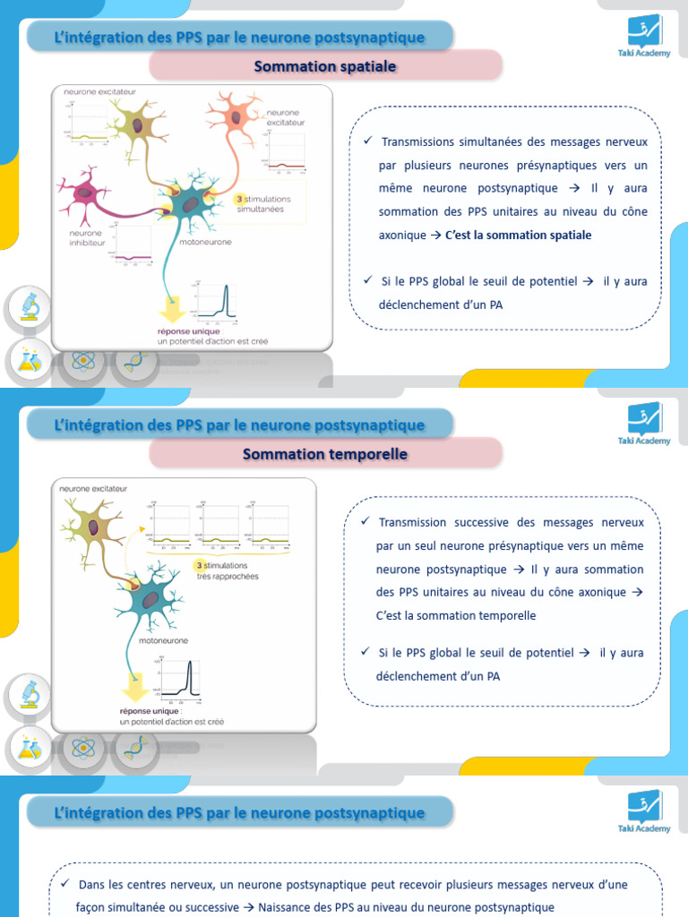 Sommation Spatiale et Temporelle des PPS | PDF
