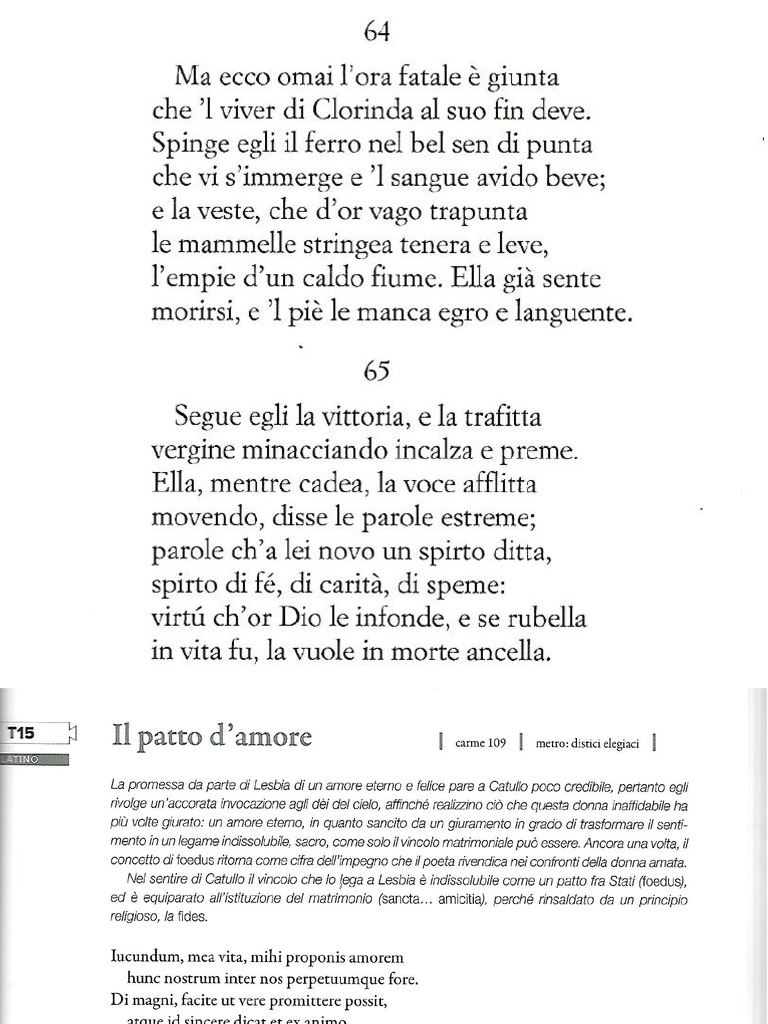 Su Catullo | PDF