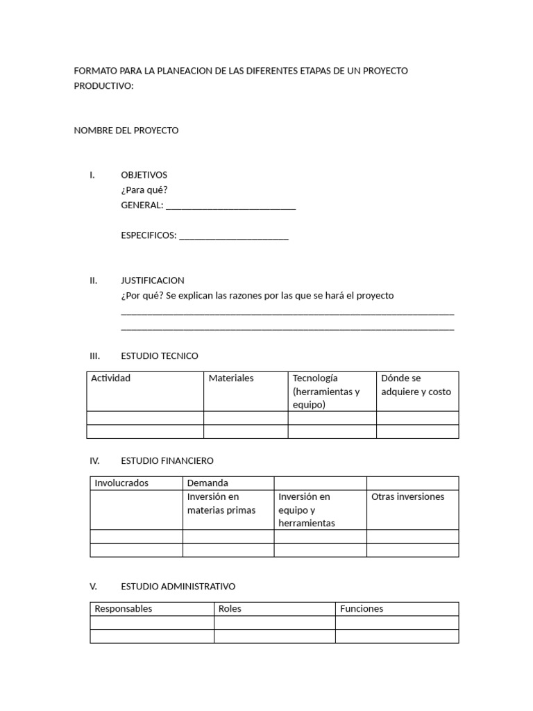 Formato para La Planeacion de Las Diferentes Etapas de Un Proyecto ...