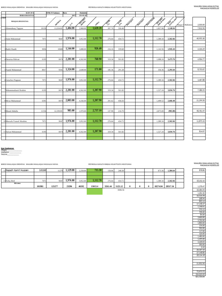 Oromia Payroll Report 2017 | PDF