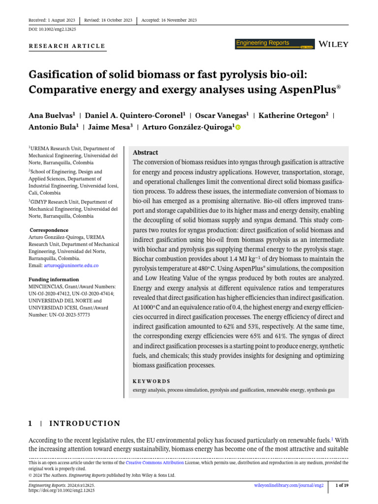 BULVAS 2023 Gasification of Solid Biomass or Fast Pyrolysis Bi | PDF ...