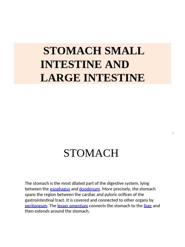 Stomach, Small Intestine Large Intestine | PDF | Stomach | Small Intestine