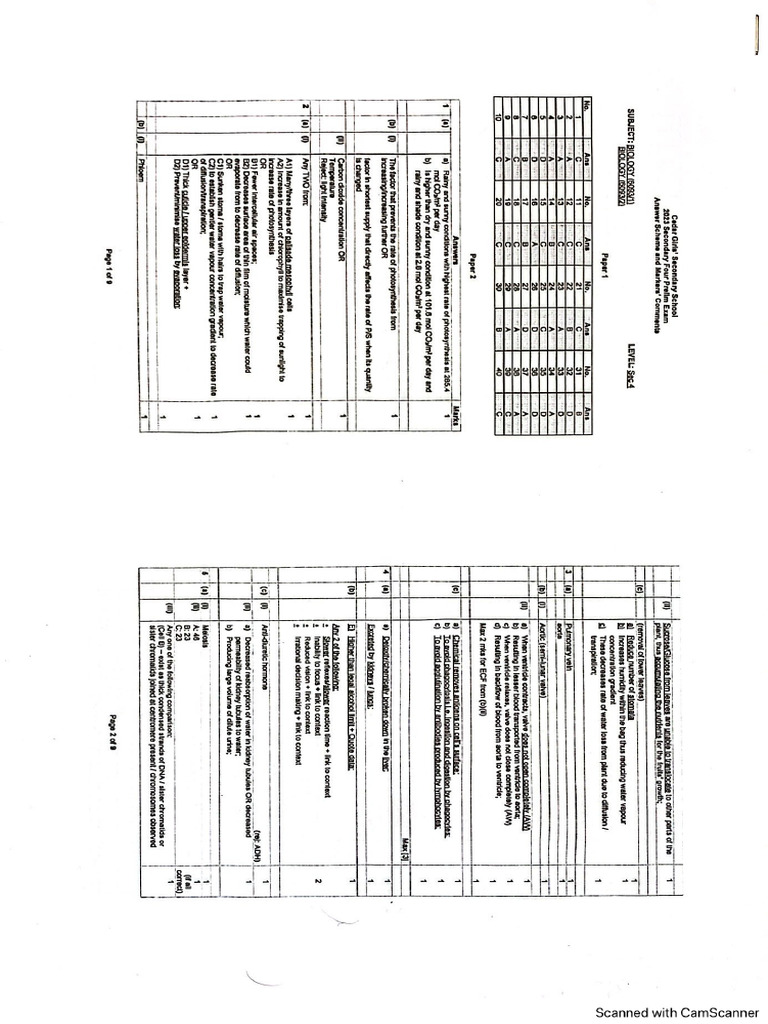 Cedar Prelim Ans Key | PDF