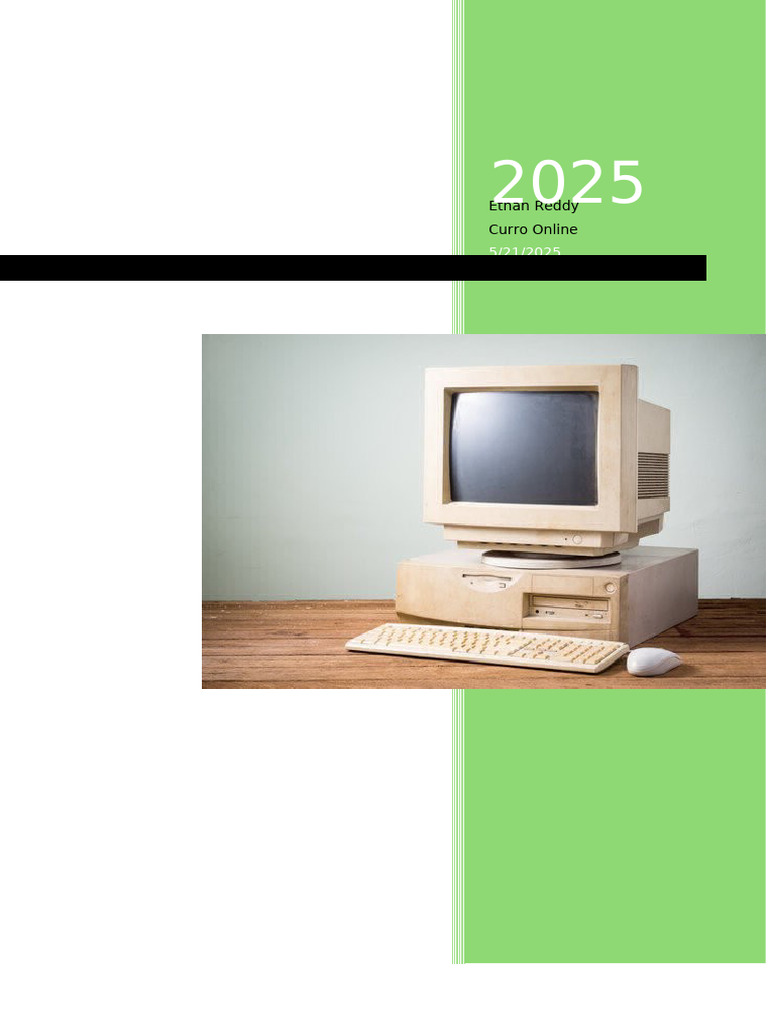 Ethan Reddy Theory Task Term 2 | PDF | Malware | Computer Virus