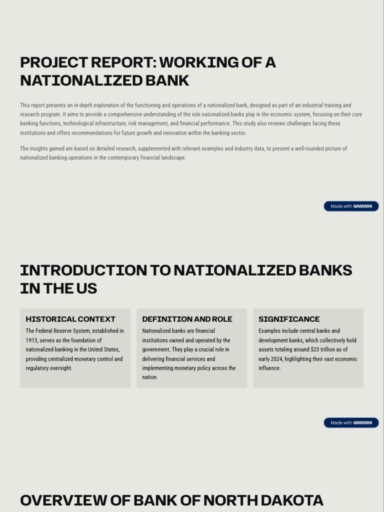 Project Report Working of A Nationalized Bank | PDF | Banks | Risk ...