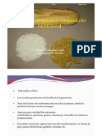 Presentación estructura y composición nutricional de los cereales 