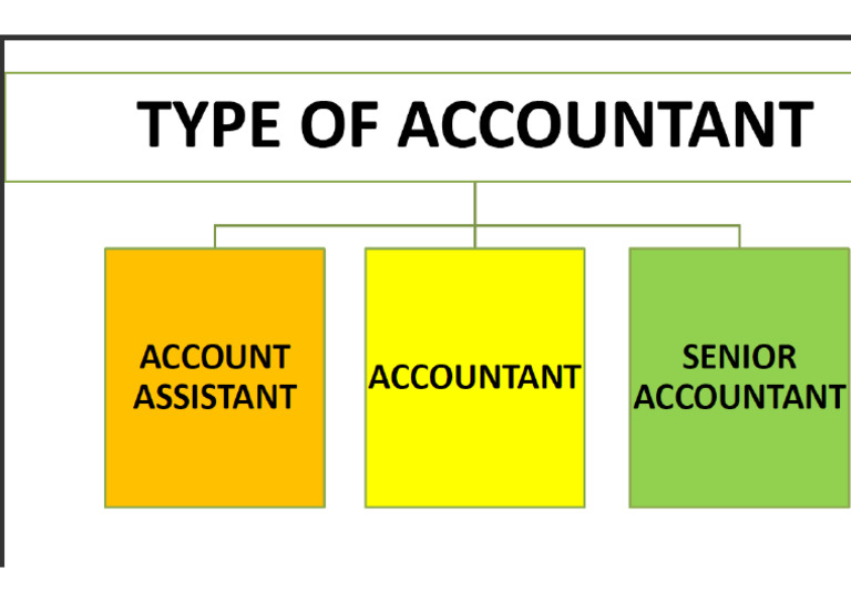 Type of Accountant | PDF