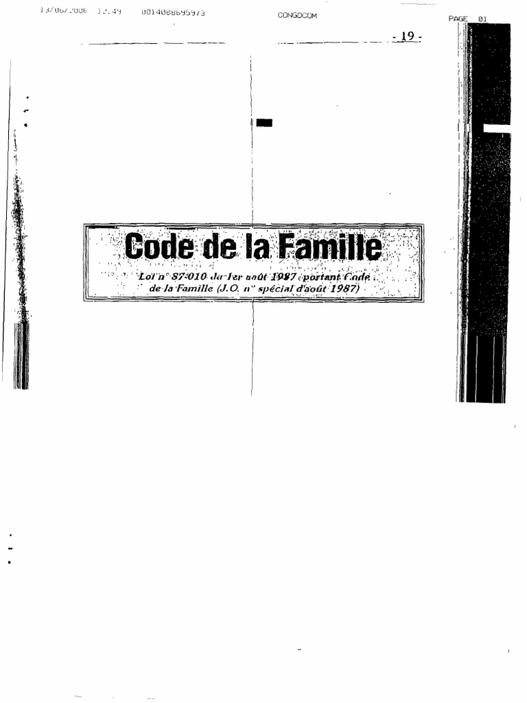Code de la Famille et État Civil au Congo | PDF | Greffier | Loi