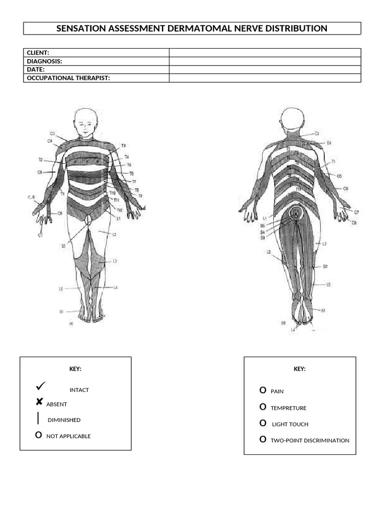 Sensation Assessment Overview | PDF