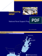 NRSP Standard Presentation January 2012