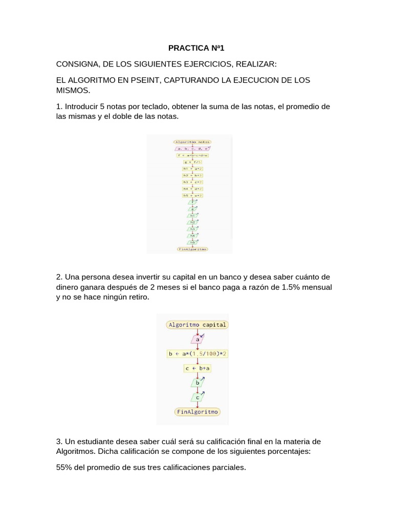 Practica N1 Programacion | PDF