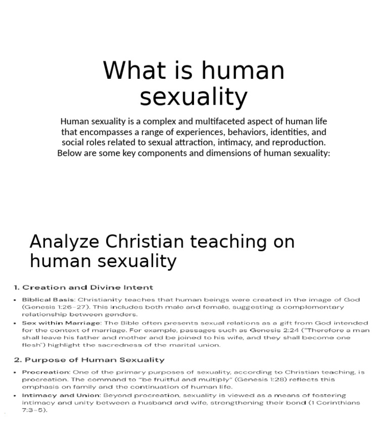 Christian Perspectives on Human Sexuality | PDF