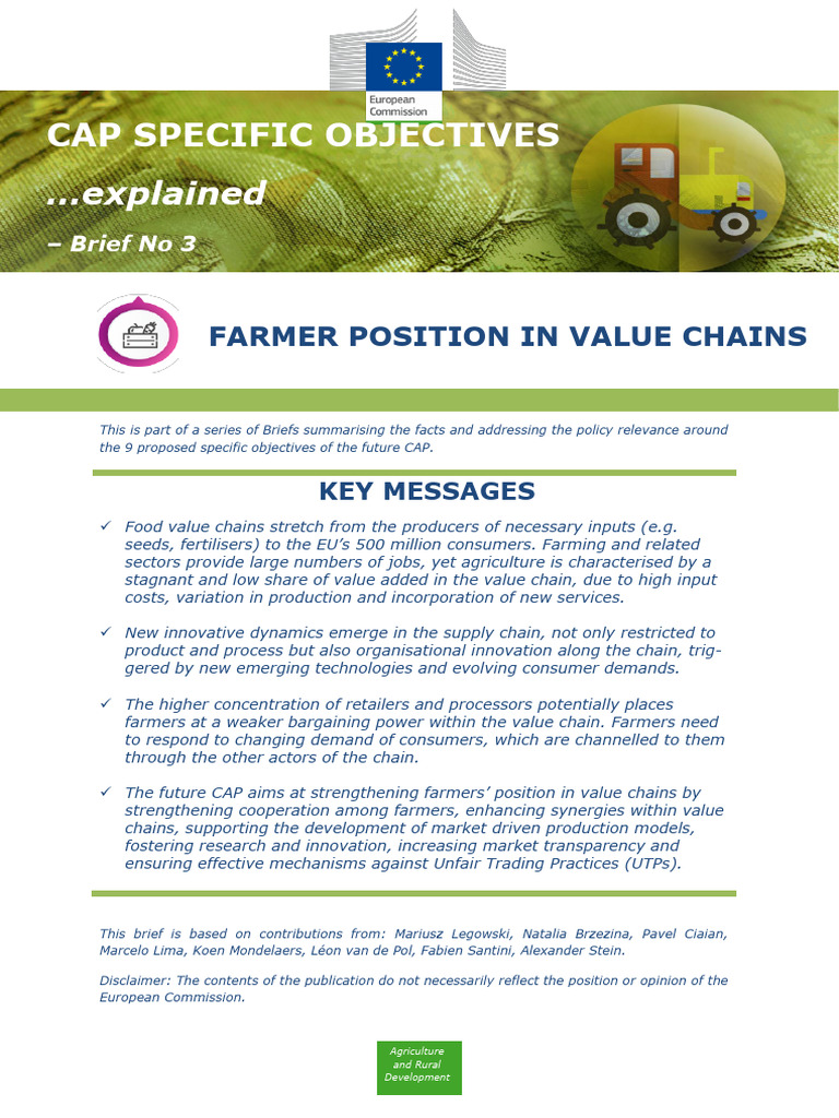 Strengthening Farmers in Value Chains | PDF | Supply Chain | Agriculture