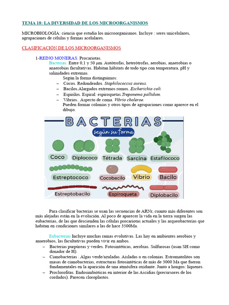 Microorganismos t20 o 17 | PDF | Las bacterias | Virus