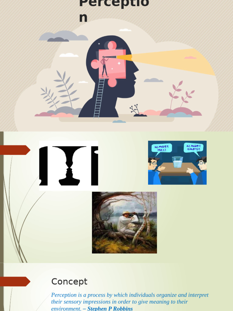 Understanding Perception Processes | PDF | Perception | Prejudices