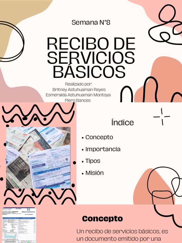 Recibos de Servicios Basicos | PDF | Business | Economias
