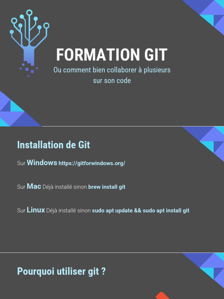 Guide complet sur l'utilisation de Git | PDF | Logiciel utilitaire ...
