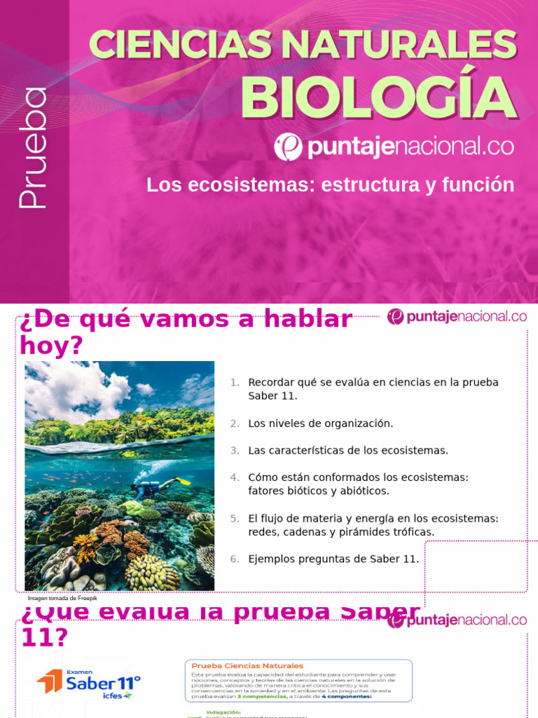Ecosistemas Icfes Clase | PDF | Plantas | Ecosistema