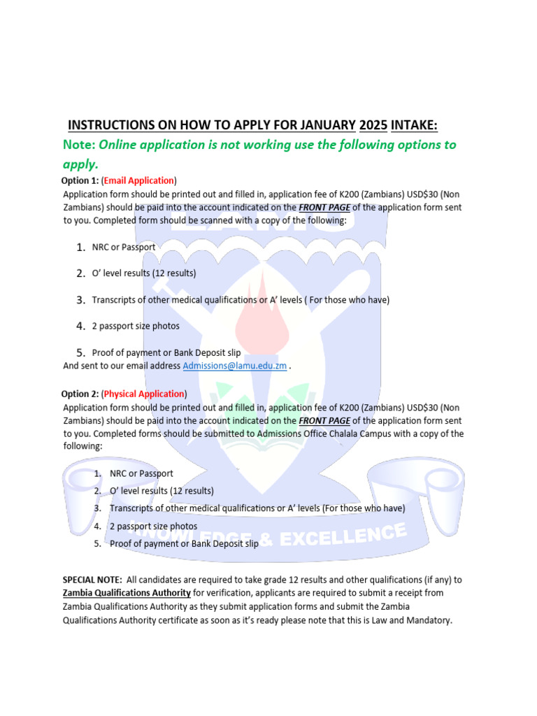 January 2025 Intake Application Guide | PDF