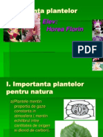 Importanta plantelor