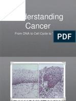 Understanding Cancer: From DNA To Cell Cycle To Tumor