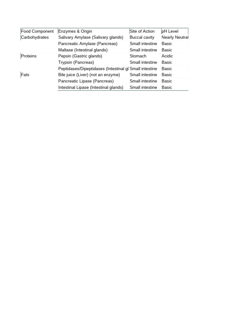 Digestion | PDF