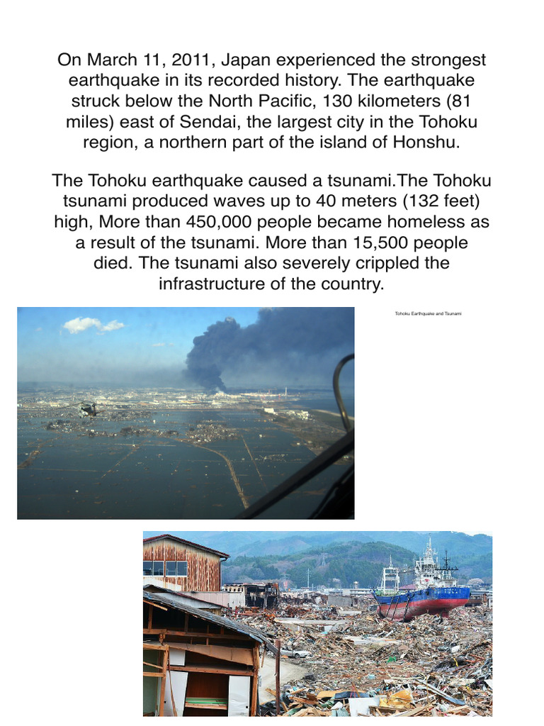 Tohoku Earthquake and Tsunami Impact | PDF