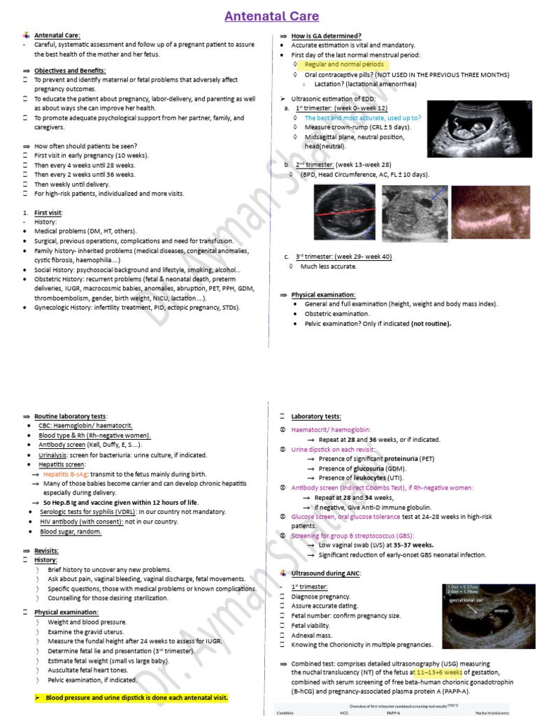 Antenatal Care | PDF | Pregnancy | Fetus