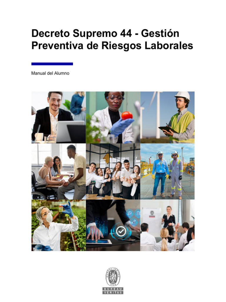Gestión de Riesgos Laborales DS 44 | PDF | Seguridad y salud ...