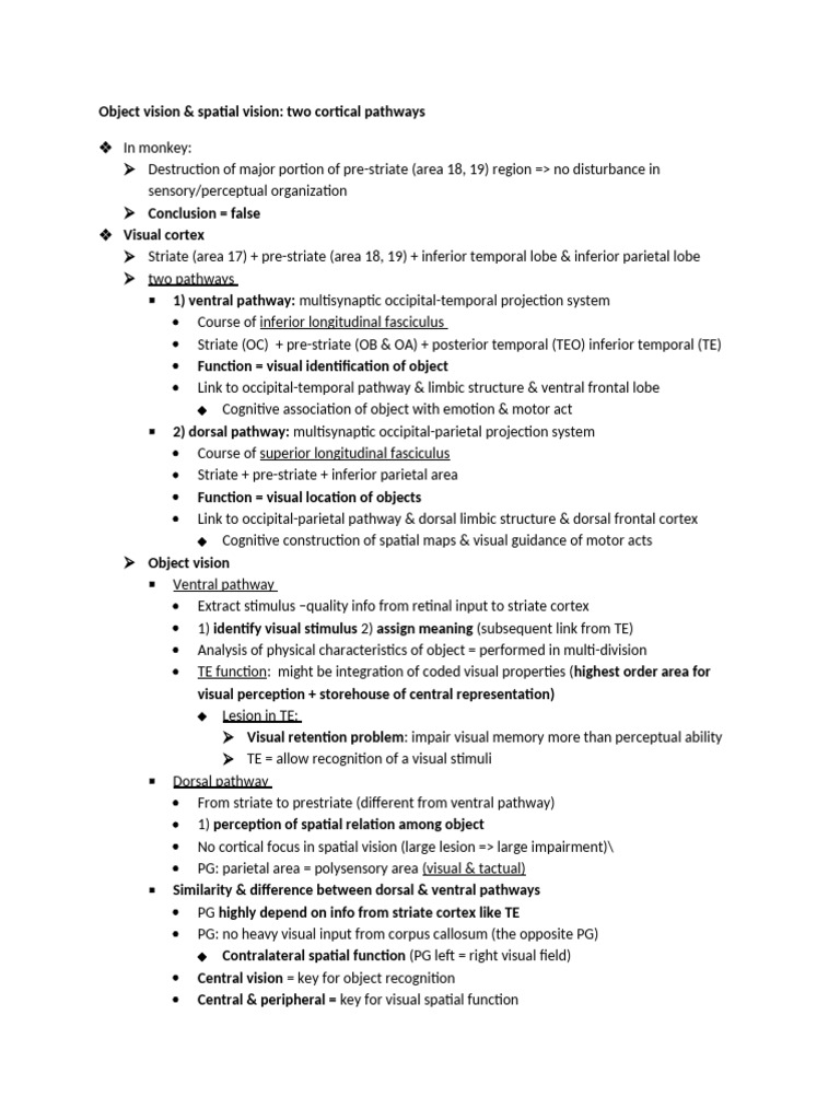 Object and Spatial Vision Pathways Explained | PDF | Visual Cortex ...