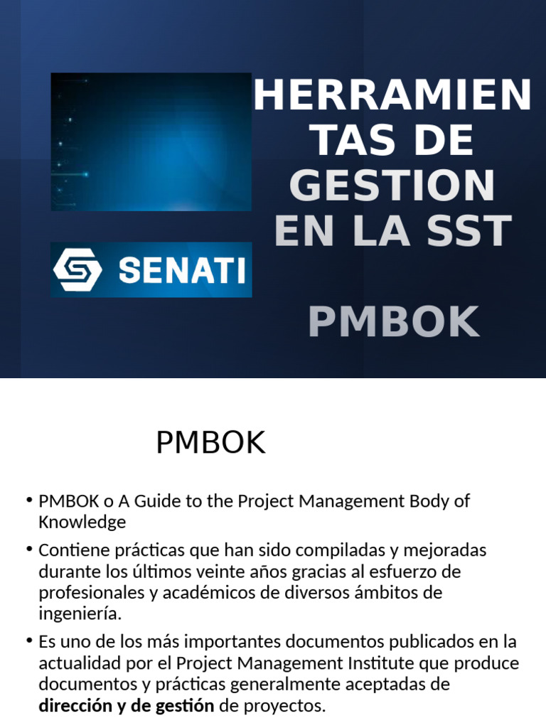Herramientas de Gestión en PMBOK | PDF | Gestión de proyectos | Business