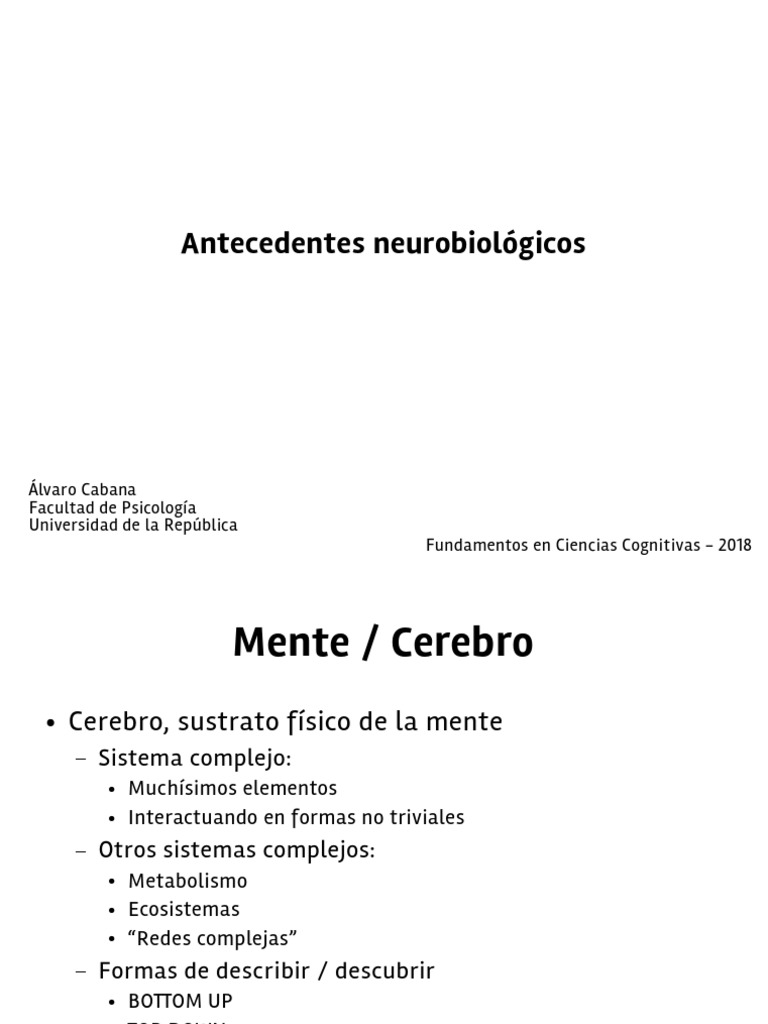 Antecedentes Neurobiol | PDF | Neurona | Histología