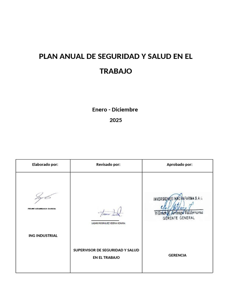 Plan Anual de Seguridad 2025 | PDF | Seguridad y salud ocupacional ...