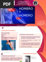 Proyecciones Axiales de Rótula en RX | PDF | Rodilla | Sistema ...