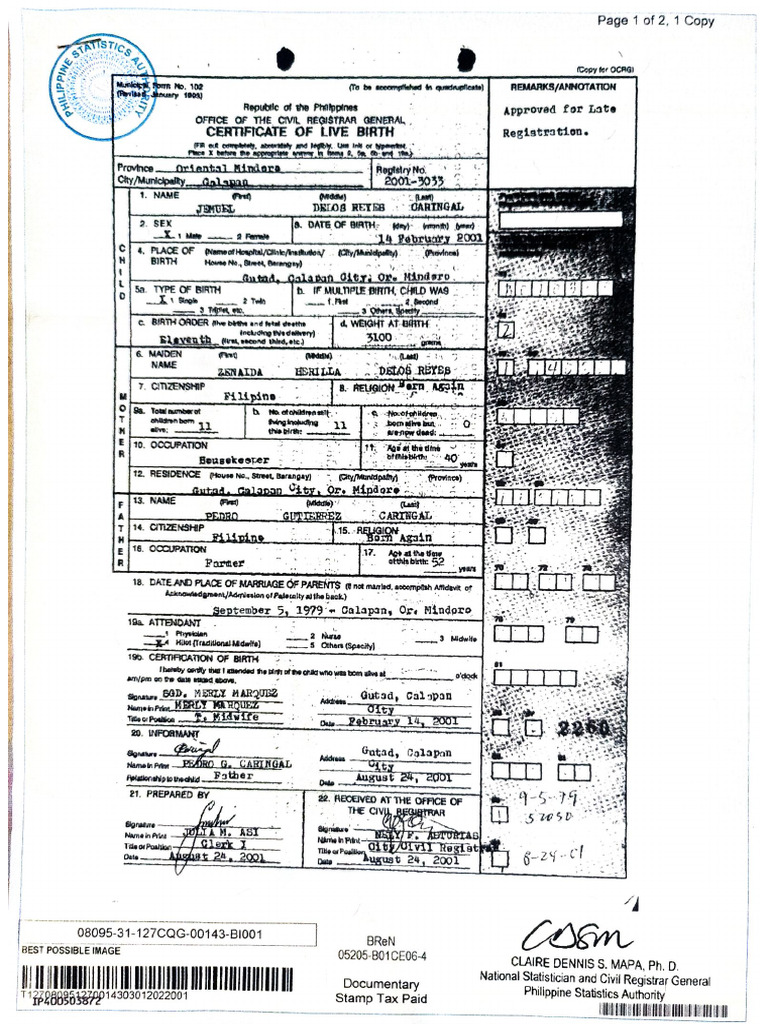 Document 31 | PDF