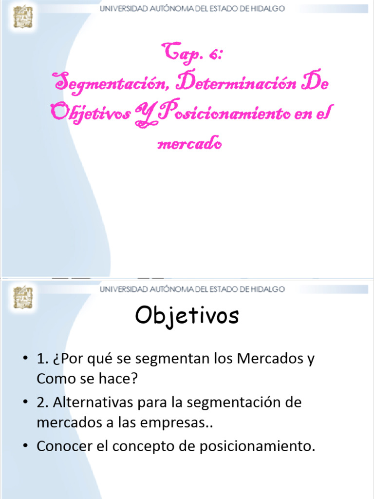 Segmentación y Posicionamiento de Mercados | PDF | Mercado (economía ...