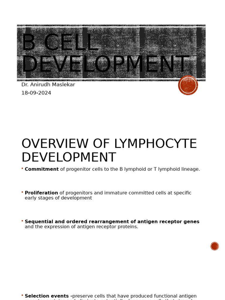 B and T Cell Development Overview | PDF | B Cell | Antibody