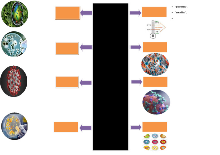 Clasificación de Microorganismos y Riesgos | PDF | Microorganismo | Las ...