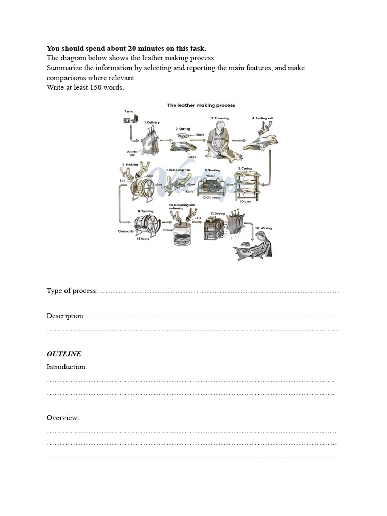 Leather Making Process Overview | PDF
