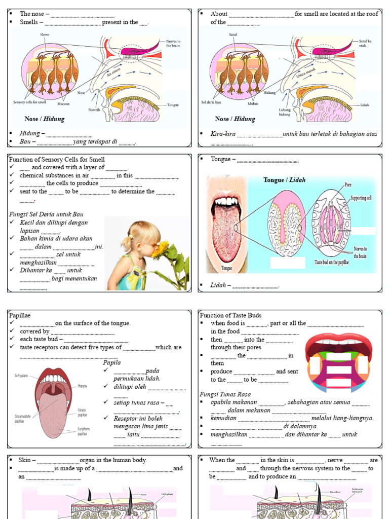 F3 Chapter 1 Part 3 Note | PDF