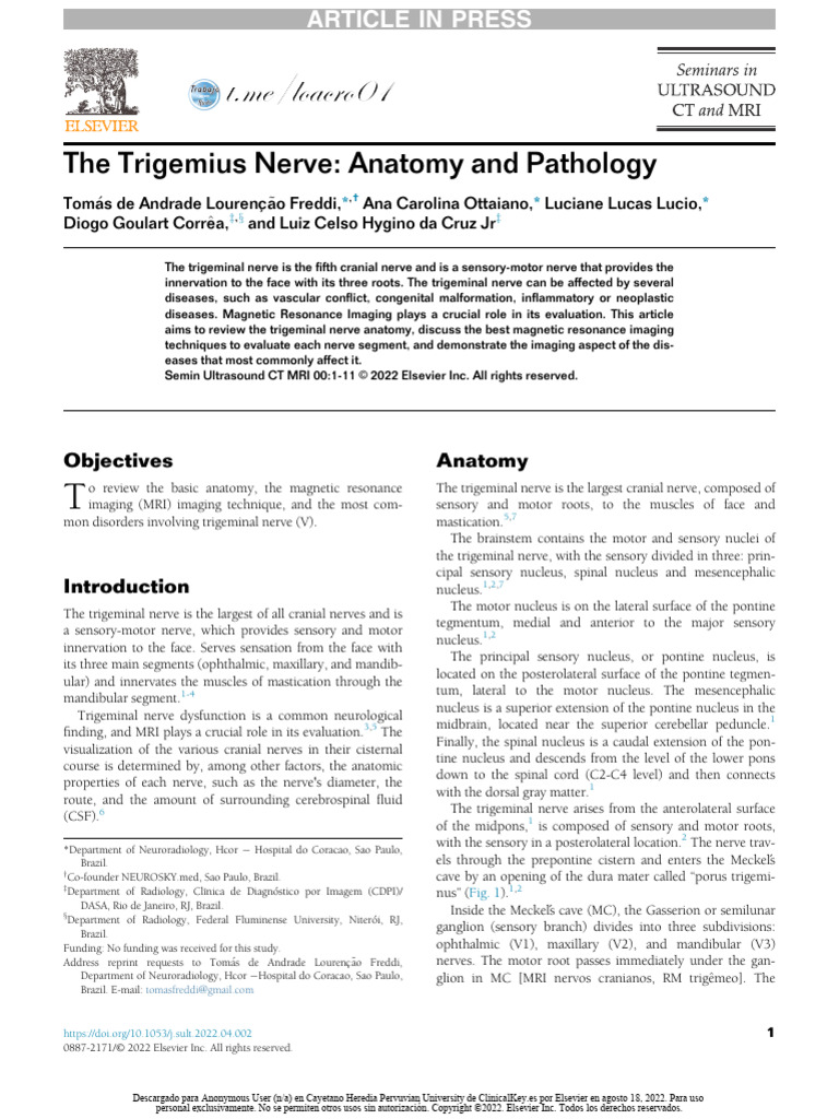 Trigeminal Nerve: Anatomy and Imaging | PDF | Neuroanatomy | Nervous System