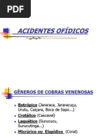 Acidente Ofidicos