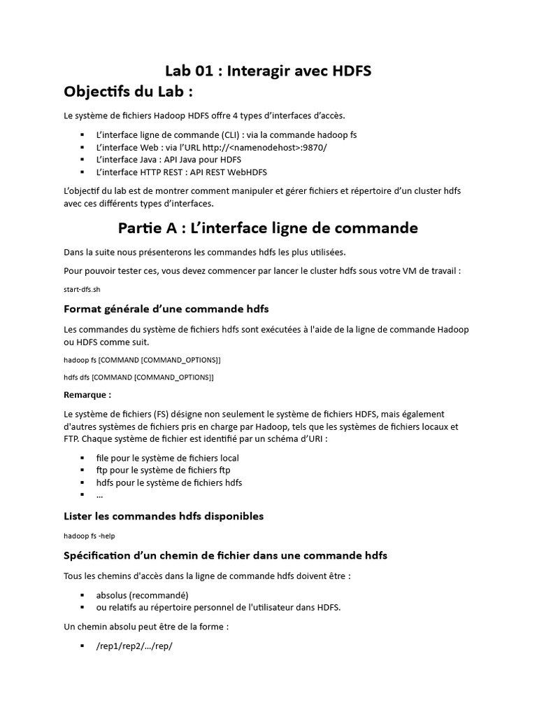 Interagir avec HDFS : Commandes et Interfaces | PDF | Apache Hadoop ...